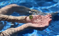 无人区卡一卡二卡三乱码入口